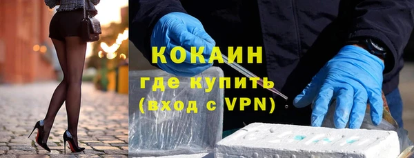 дживик Бородино