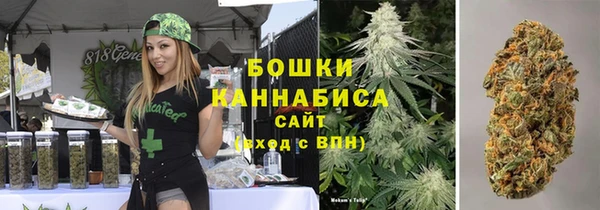 дживик Бородино