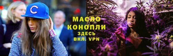 дживик Бородино